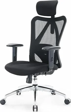 SIHOO M18 Ergonomic Office Chair, Adjustable Lumbar Support, 330 lb, Black | Adjustable Headrest, Breathable High-Back Mesh, Wide Cushion, 2D Armrests, Tilt Lock, All-Day Sitting Comfort for Home Office