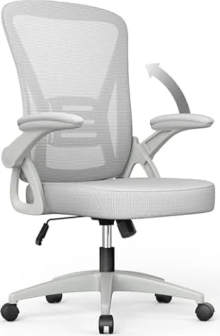 naspaluro Office Chair Ergonomic Desk Chair with 90° Flip-up Armrest Lumbar Support, Height Adjustable Chair, Executive Swivel Computer Padded Seat Cushion for Home/Office-Grey, 50 x 50 x 92 CM (M022)